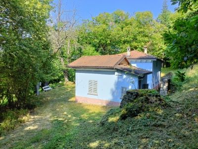 casa indipendente in affitto a Demonte
