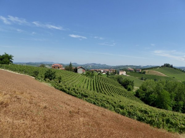 casa indipendente in affitto a Dogliani