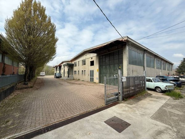 appartamento in affitto a Dogliani