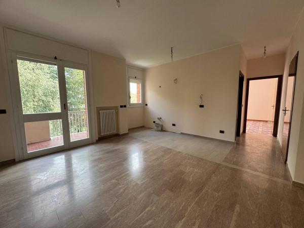 immagine annuncio 0 di 15