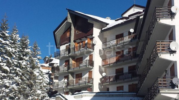 appartamento in affitto a Frabosa Sottana in zona Prato Nevoso