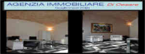 logo DI CESARE JOSEPH