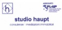 logo STUDIO HAUPT DI HAUPT ENRICO
