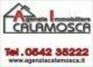 logo DOTT. CALAMOSCA STEFANO