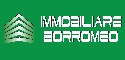 IMMOBILIARE BORROMEO SAS