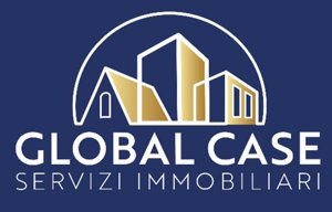 Global Case