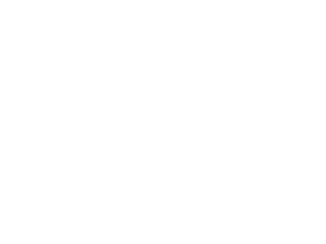 REI - REAL ESTATE INVESTMENTS SRL