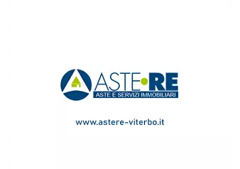 Astere Viterbo