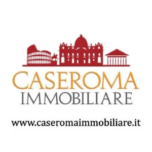 carolina petrangolini