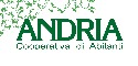 ANDRIA S.C.R.L.