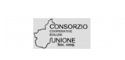 logo Immobiliare Spina Alfa srl