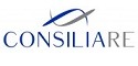 logo Consiliare srl