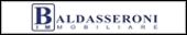 logo BALDASSERONI IMMOBILIARE