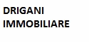 logo Info Drigani