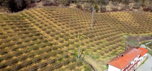casa indipendente in vendita a Gorzegno