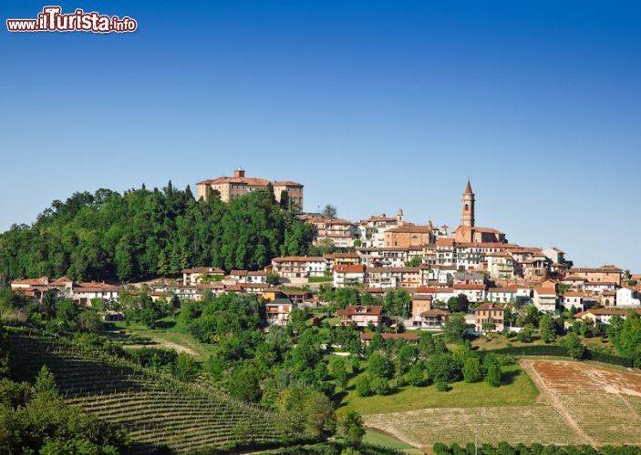 terreno agricolo in vendita a Govone in zona Craviano