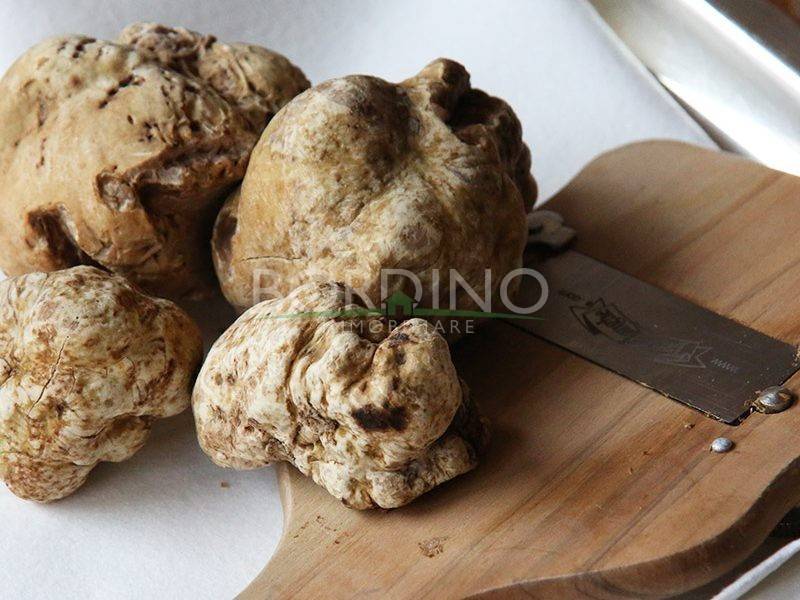 villa in vendita a Govone