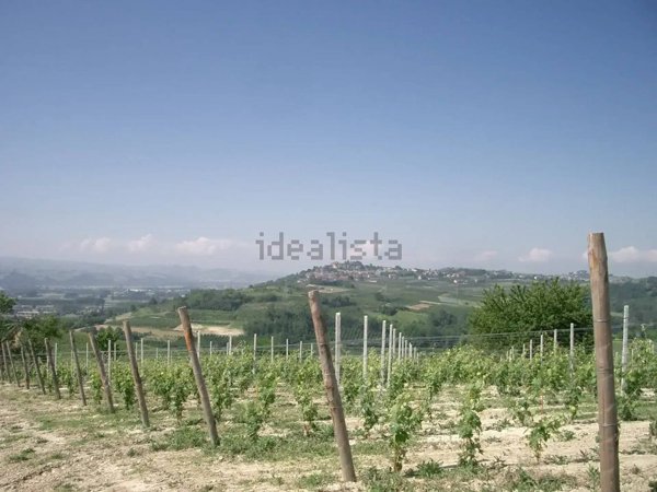 terreno edificabile in vendita a Govone