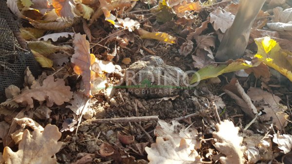 villa in vendita a Govone