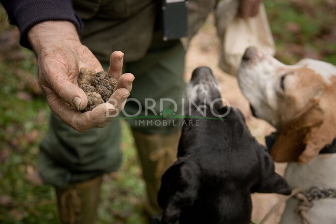 villa in vendita a Govone