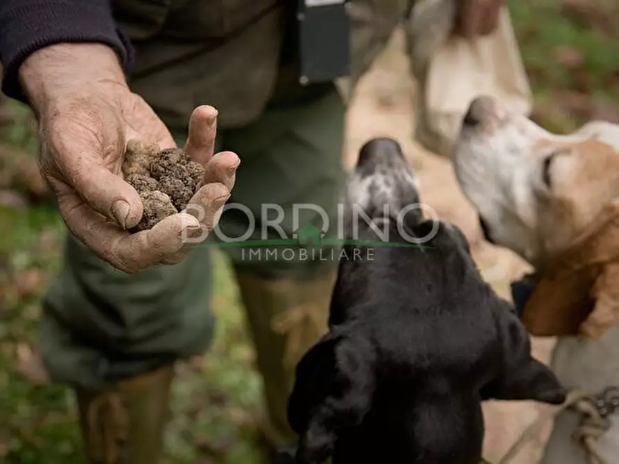 attico in vendita a Govone