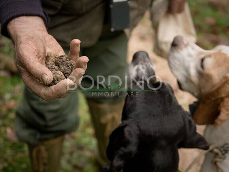 villa in vendita a Govone