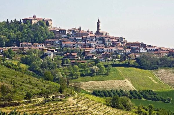 terreno agricolo in vendita a Govone