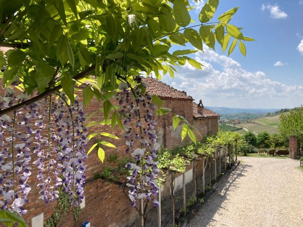 casa indipendente in vendita a Guarene