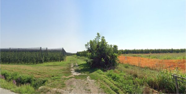 terreno agricolo in vendita a Lagnasco
