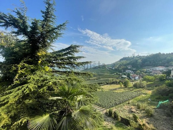casa indipendente in vendita a La Morra