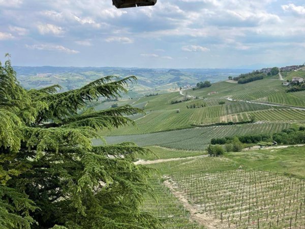 casa indipendente in vendita a La Morra