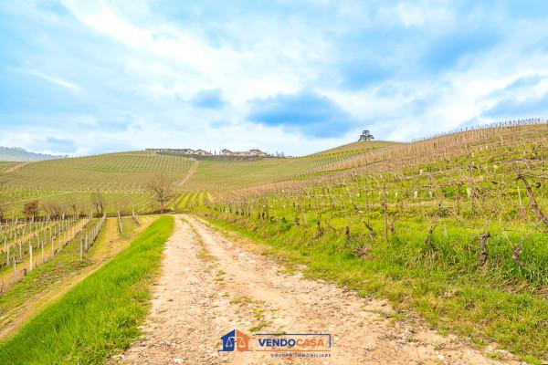 casa indipendente in vendita a La Morra in zona Annunziata