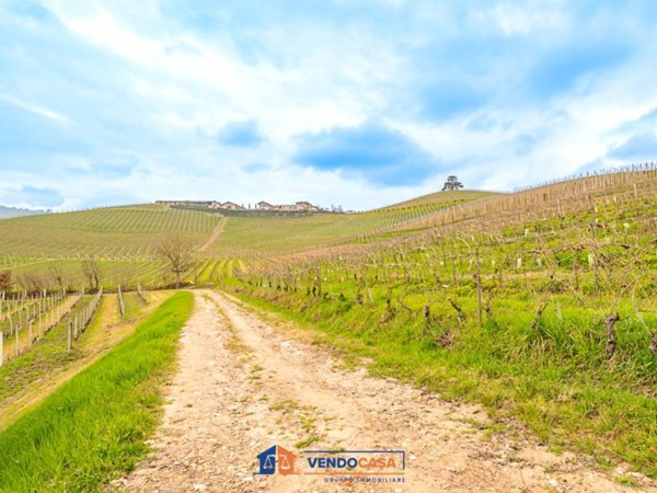 casa indipendente in vendita a La Morra in zona Annunziata