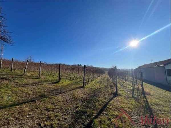 terreno agricolo in vendita a La Morra