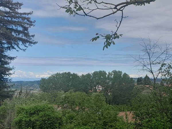 terreno agricolo in vendita a La Morra