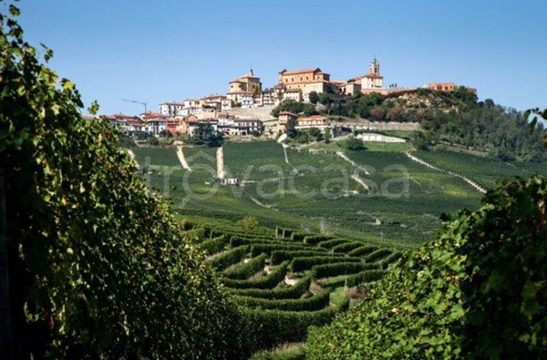 terreno agricolo in vendita a La Morra