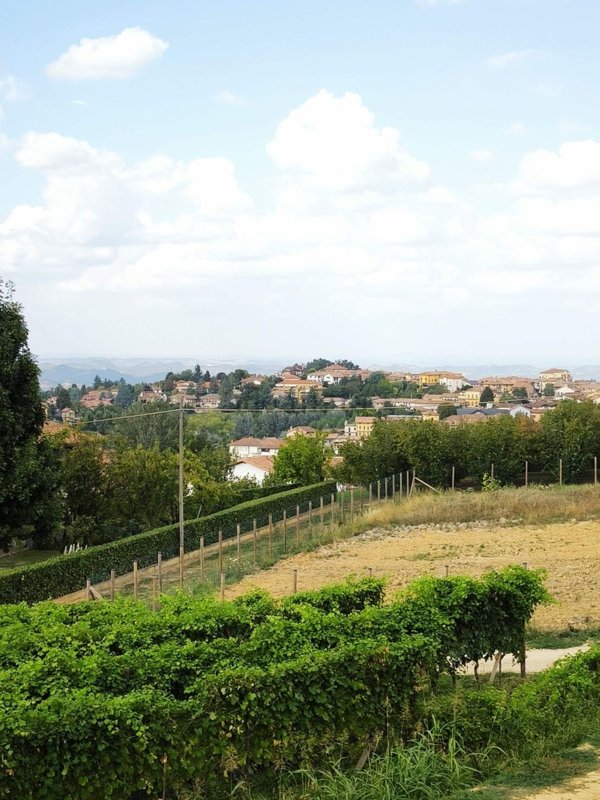 casa indipendente in vendita a La Morra