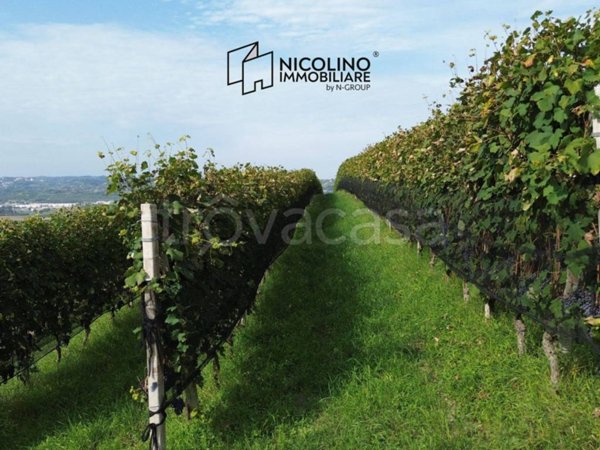 terreno agricolo in vendita a La Morra in zona Rivalta