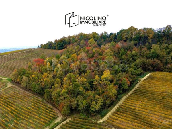 terreno agricolo in vendita a La Morra