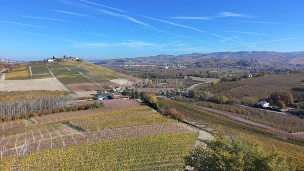 terreno agricolo in vendita a La Morra