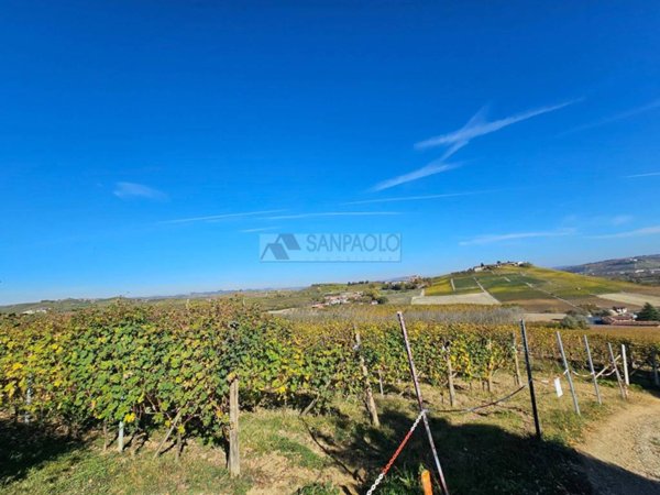 terreno agricolo in vendita a La Morra in zona Santa Maria