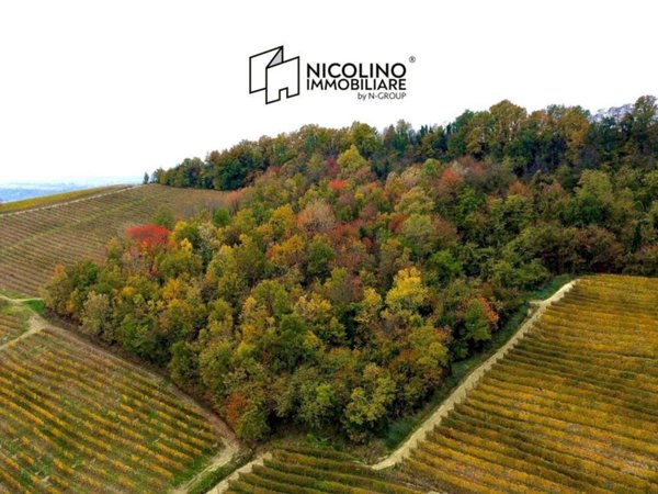 ufficio in vendita a La Morra