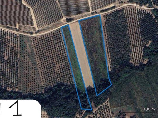 terreno agricolo in vendita a La Morra in zona Santa Maria