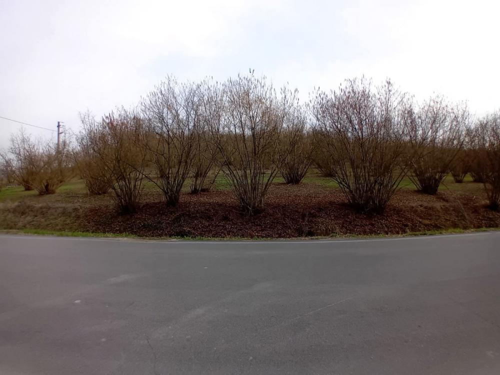 terreno edificabile in vendita a La Morra in zona Santa Maria