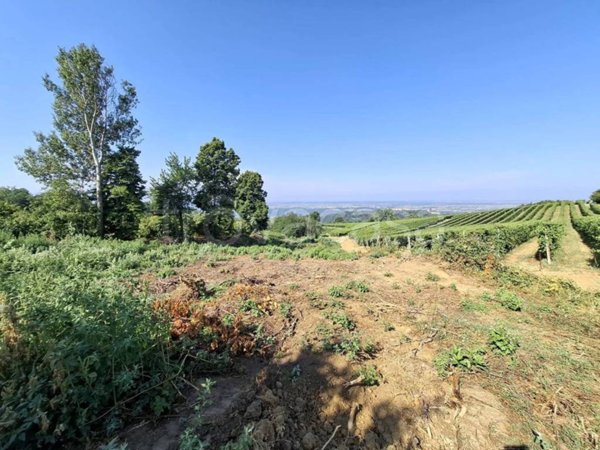 terreno agricolo in vendita a La Morra in zona Berri