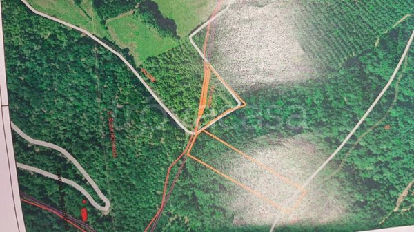 terreno agricolo in vendita a Lequio Berria
