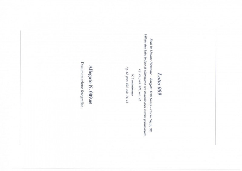 casa indipendente in vendita a Limone Piemonte