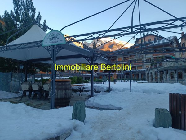 appartamento in vendita a Limone Piemonte