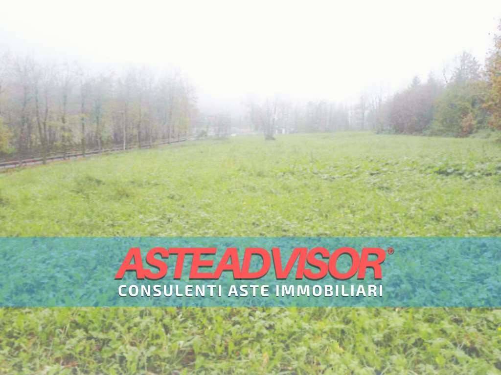 terreno agricolo in vendita a Limone Piemonte