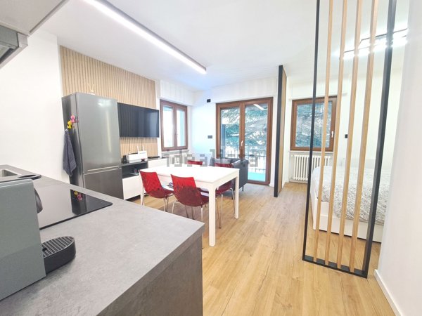 appartamento in vendita a Limone Piemonte in zona Panice